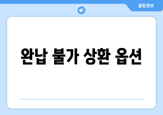 완납 불가 상환 옵션