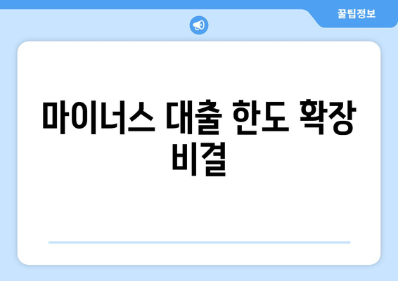 마이너스 대출 한도 확장 비결