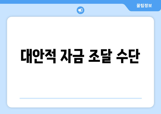 대안적 자금 조달 수단