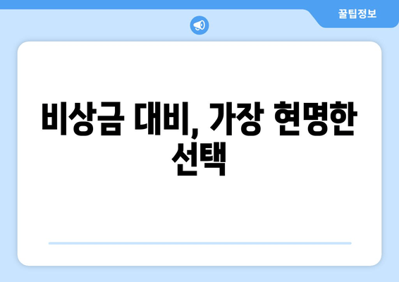 비상금 대비, 가장 현명한 선택