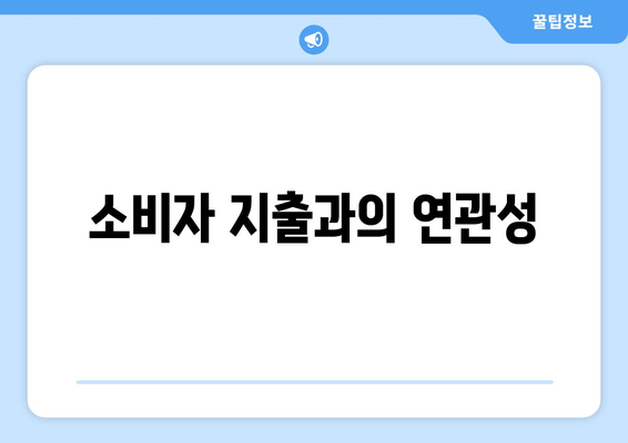 소비자 지출과의 연관성