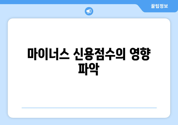 마이너스 신용점수의 영향 파악