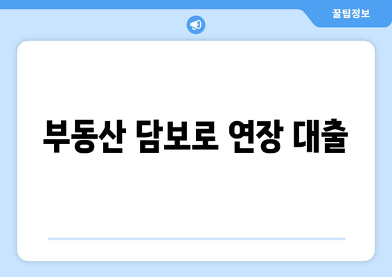 부동산 담보로 연장 대출