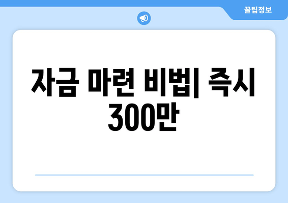 자금 마련 비법| 즉시 300만