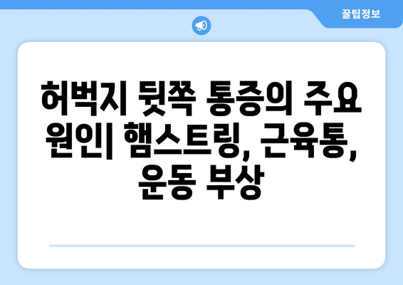 허벅지 뒷쪽 통증의 원인, 진단 그리고 치료| 자세한 분석과 해결책 | 허벅지 통증, 햄스트링, 근육통, 운동 부상, 재활