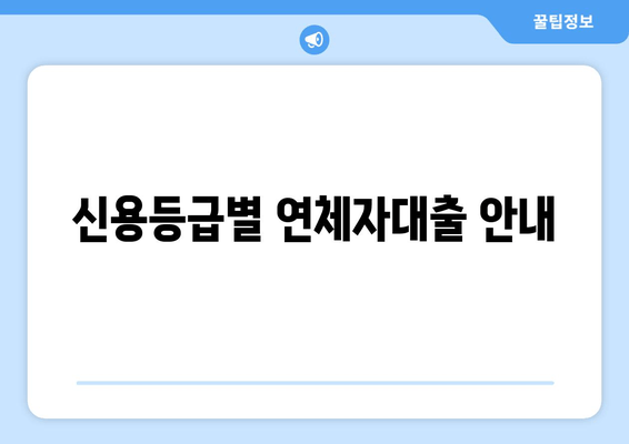 신용등급별 연체자대출 안내