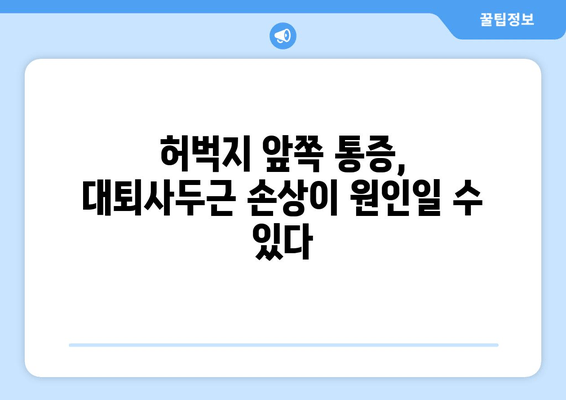 갑자기 찾아온 허벅지 앞쪽 통증! 대퇴사두근 손상 의심해보세요 | 운동, 통증, 원인, 증상, 치료