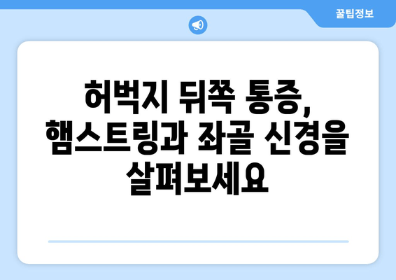 허벅지 통증, 앞쪽과 뒤쪽의 차이! 부위별 원인 파악 가이드 | 허벅지 통증, 원인 분석, 통증 해결 팁