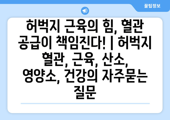 허벅지 근육의 힘, 혈관 공급이 책임진다! | 허벅지 혈관, 근육, 산소, 영양소, 건강