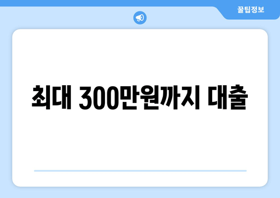 최대 300만원까지 대출