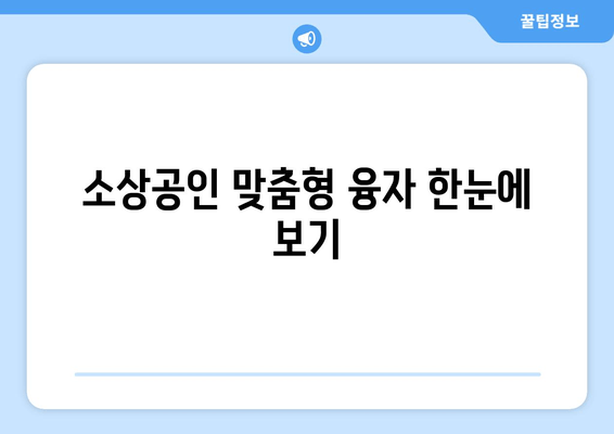 소상공인 맞춤형 융자 한눈에 보기