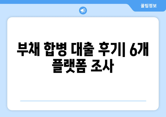 부채 합병 대출 후기| 6개 플랫폼 조사