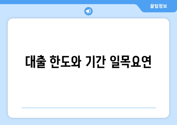 대출 한도와 기간 일목요연