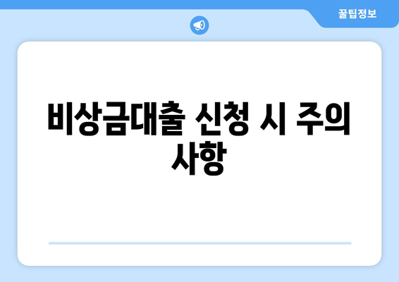 비상금대출 신청 시 주의 사항