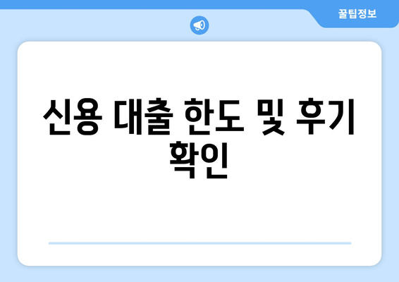 신용 대출 한도 및 후기 확인