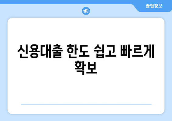 신용대출 한도 쉽고 빠르게 확보