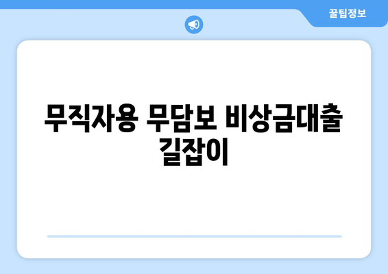 무직자용 무담보 비상금대출 길잡이