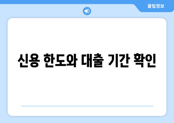 신용 한도와 대출 기간 확인