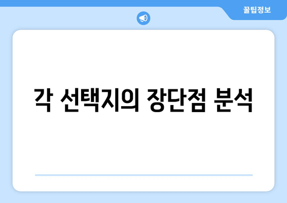 각 선택지의 장단점 분석