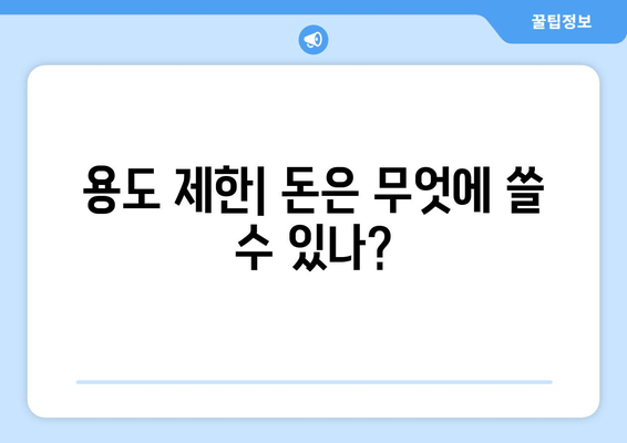 용도 제한| 돈은 무엇에 쓸 수 있나?