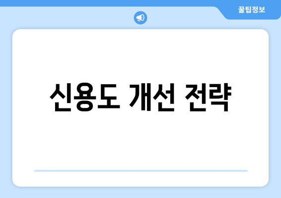 신용도 개선 전략