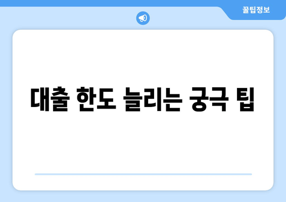 대출 한도 늘리는 궁극 팁