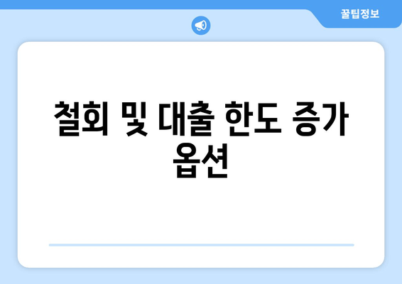 철회 및 대출 한도 증가 옵션