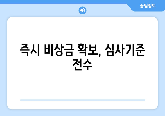 즉시 비상금 확보, 심사기준 전수