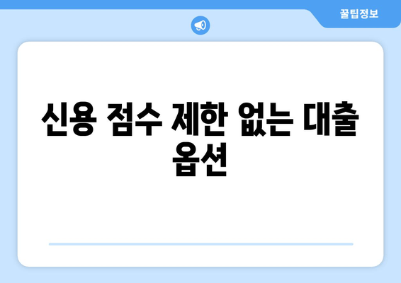 신용 점수 제한 없는 대출 옵션