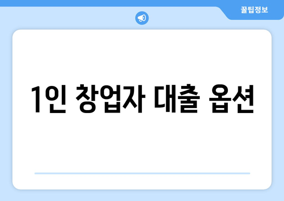 1인 창업자 대출 옵션