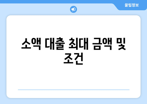 소액 대출 최대 금액 및 조건