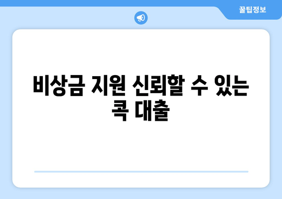 비상금 지원 신뢰할 수 있는 콕 대출