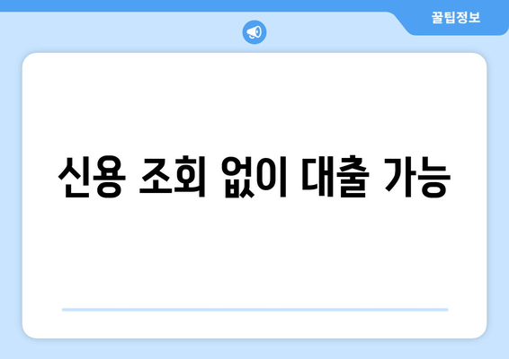 신용 조회 없이 대출 가능