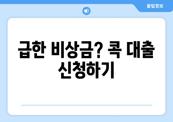 급한 비상금? 콕 대출 신청하기