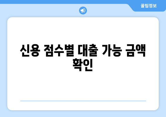 신용 점수별 대출 가능 금액 확인