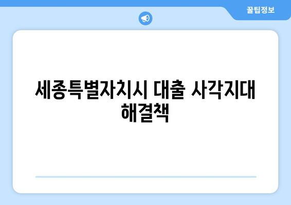 세종특별자치시 대출 사각지대 해결책