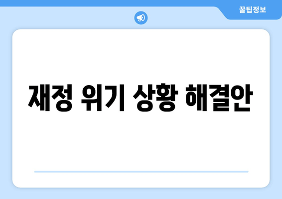 재정 위기 상황 해결안