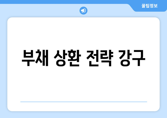 부채 상환 전략 강구