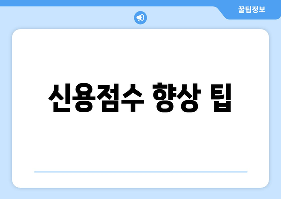 신용점수 향상 팁