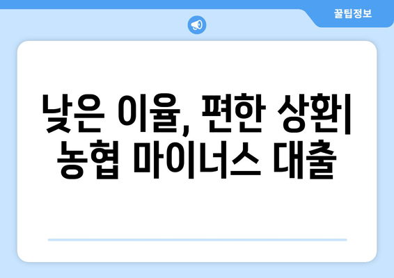 낮은 이율, 편한 상환| 농협 마이너스 대출