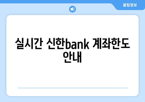 실시간 신한bank 계좌한도 안내