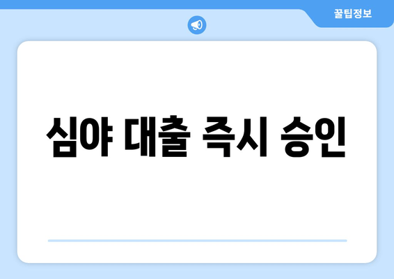 심야 대출 즉시 승인