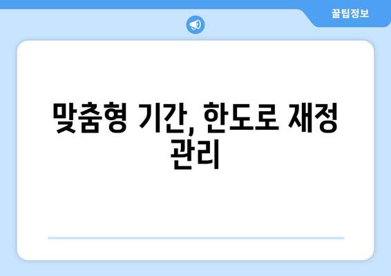 맞춤형 기간, 한도로 재정 관리