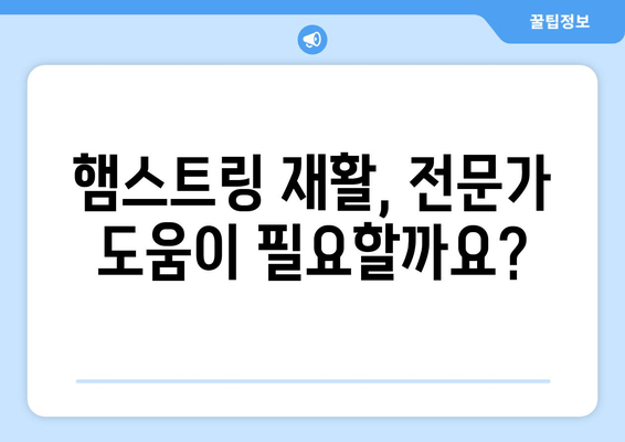 허벅지 뒤쪽 통증, 놓치지 말아야 할 원인과 치료법 | 햄스트링 통증, 운동, 스트레칭, 재활