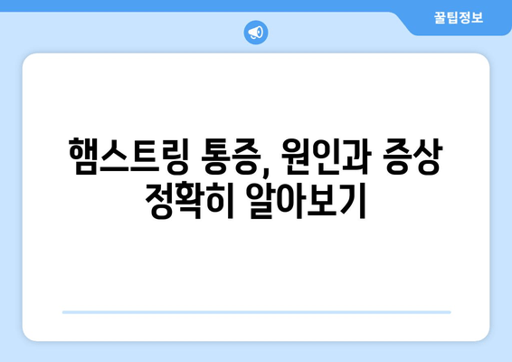 허벅지 햄스트링 통증, 파열 증상 완벽 해결! 효과적인 치료 및 예방 가이드 | 햄스트링 통증, 근육 파열, 스트레칭, 운동