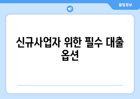 신규사업자 위한 필수 대출 옵션