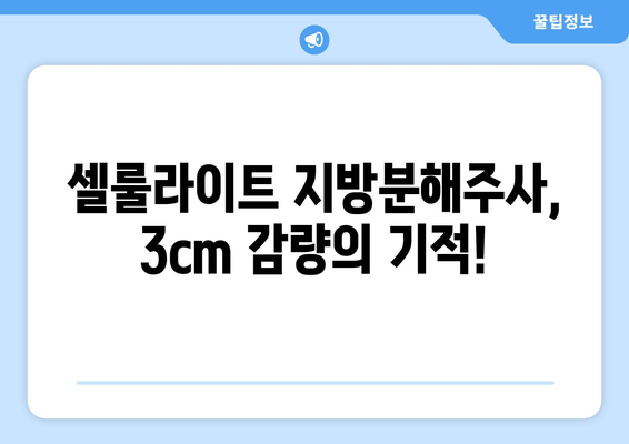 지방흡입 없이 3cm 둘레 감소! 셀룰라이트 지방분해주사 후기 | 솔직후기, 효과, 비용, 주의사항