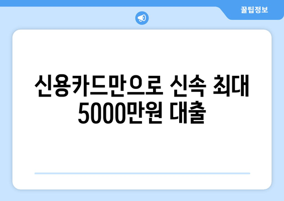 신용카드만으로 신속 최대 5000만원 대출