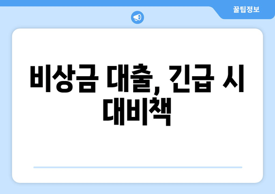 비상금 대출, 긴급 시 대비책