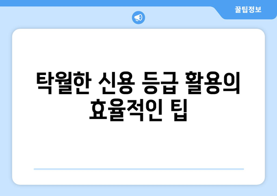 탁월한 신용 등급 활용의 효율적인 팁